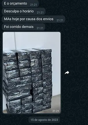 Feedback positivo de cliente sobre resultados da VL Mídias Digitais no WhatsApp